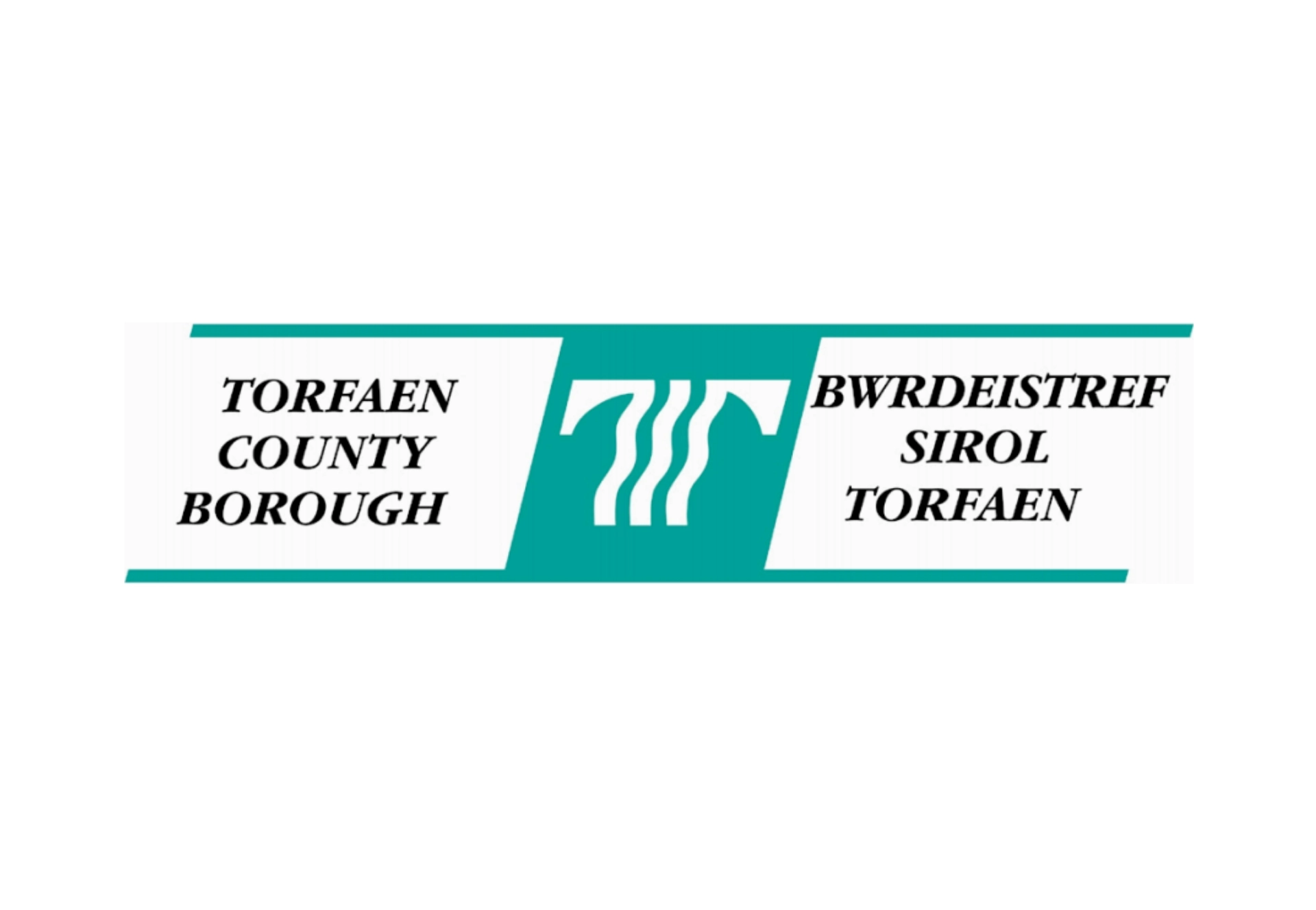 Torfaen County Borough Council — SME website programme